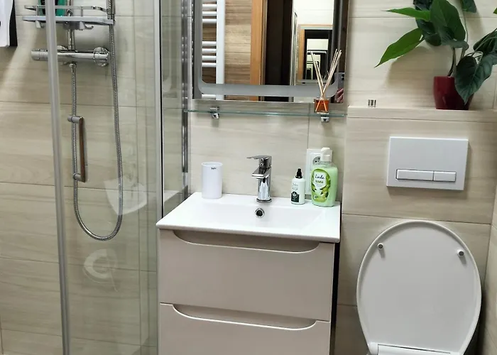 U Baczkow Apartment *